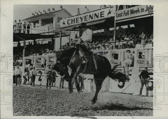 1970 Press Photo Cheyenne's Frontier Days rodeo cowboy on a bronco - nes54716 - Historic Images