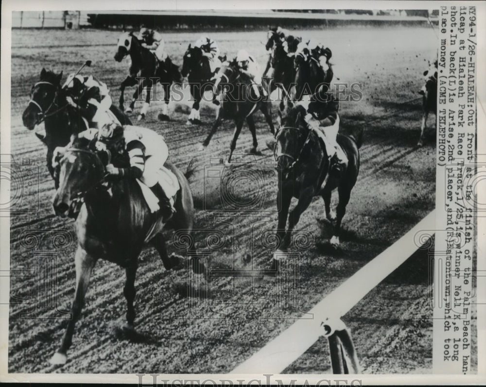 1950 Press Photo &quot;Nell K&quot; Winner of Palm Beach Handicap at Hialeah Park Track - Historic Images