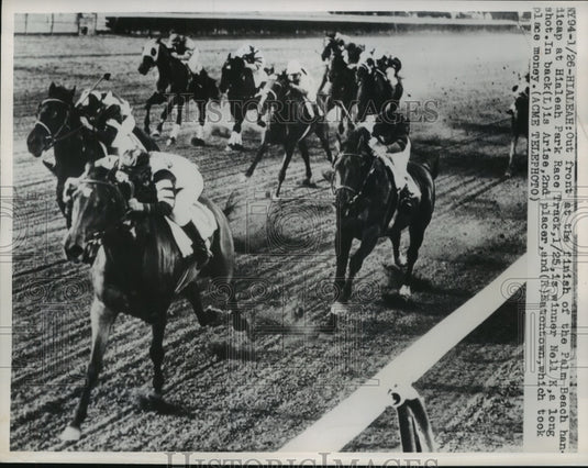 1950 Press Photo "Nell K" Winner of Palm Beach Handicap at Hialeah Park Track - Historic Images