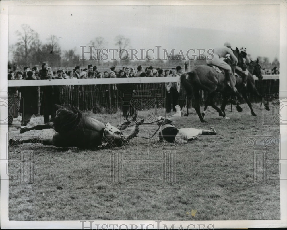 1956 Press Photo Copper Cable with J Beney at National Hunt Steeplechase - Historic Images