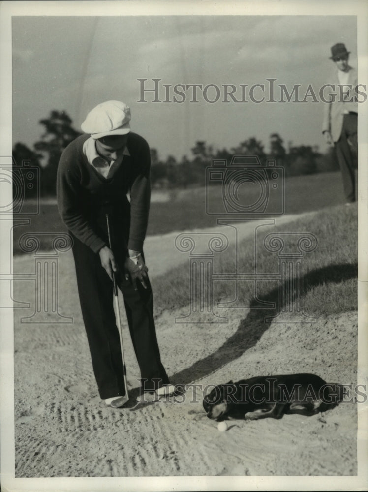 1937 Press Photo Boby Dunkleberger tries to putt around sleeping stray dog- Historic Images