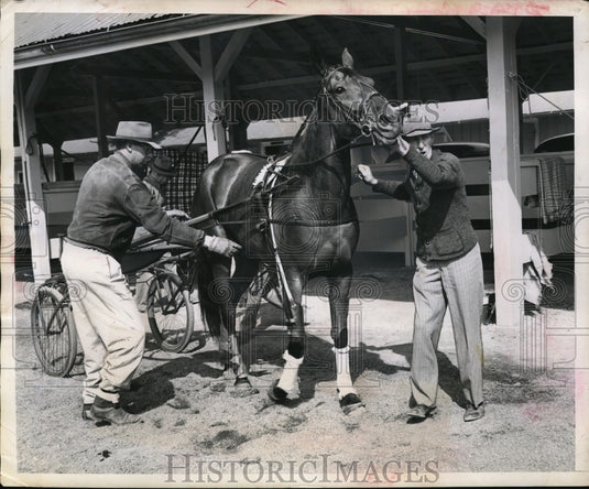 1946 Press Photo Westfield Girl hitched to sulky at Good Time Park in Goshen NY - Historic Images