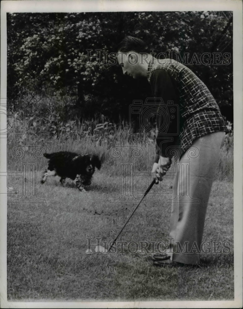1950 Press Photo Whiz, owned by golfer Elbert Catanzaro, fetches golf balls - Historic Images