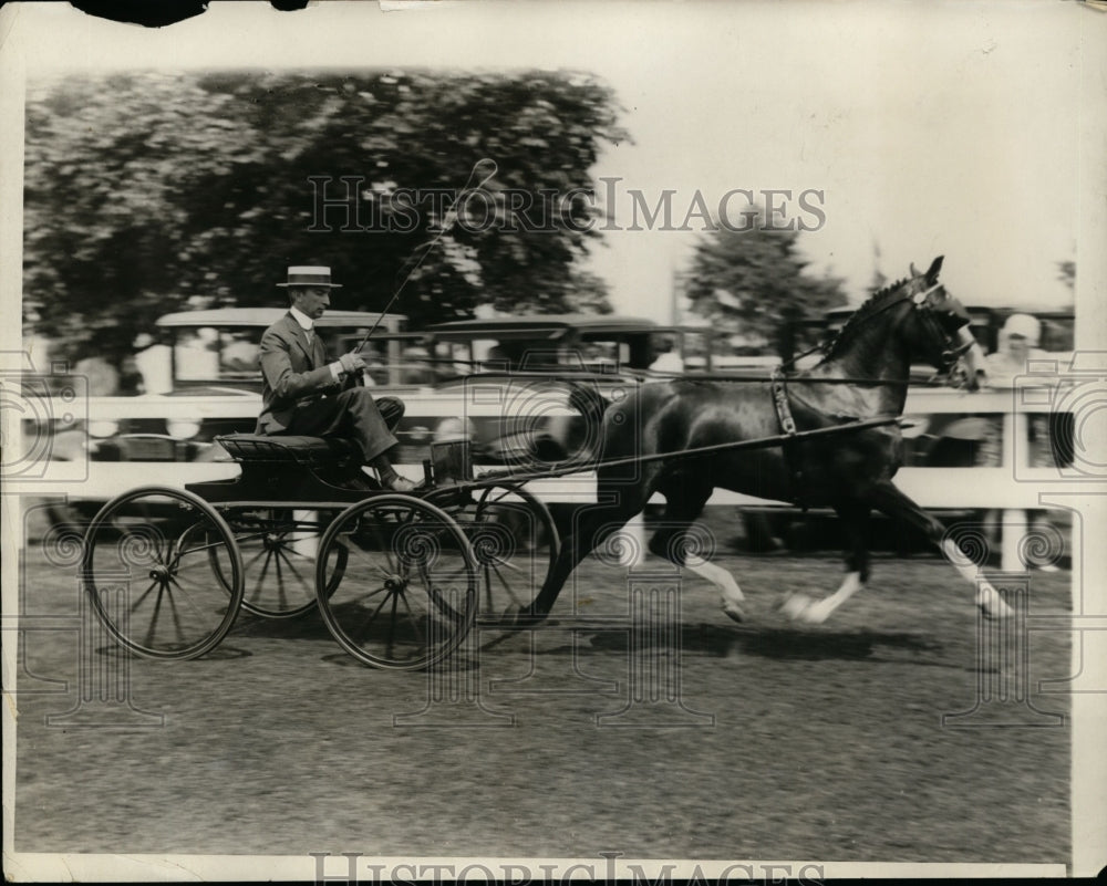 1929 Press Photo Westchester County horse show J Macy Willets &amp; Cassillis Master - Historic Images