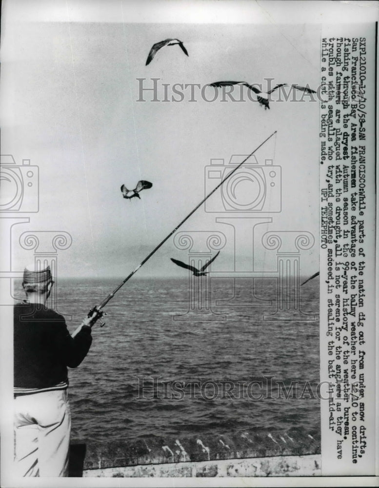 1958 Press Photo San Francisco bay area fisherman as seagulls circle overhead- Historic Images