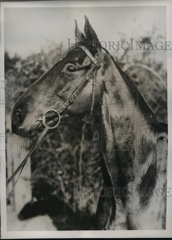 1936 Press Photo Grand National at Aintree England Lord Rosedale&#39;s Keen Blade - Historic Images