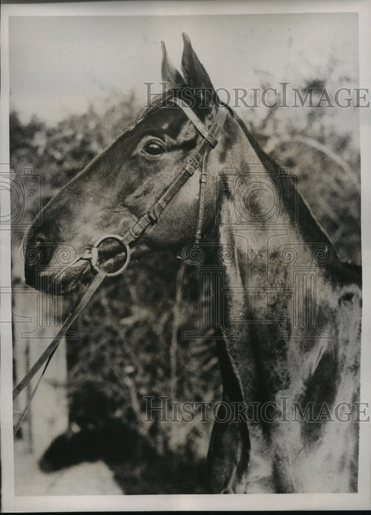 1936 Press Photo Grand National at Aintree England Lord Rosedale's Keen Blade - Historic Images
