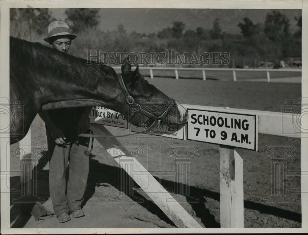 1937 Press Photo Racehorse Star Scout at a training track - net26767 - Historic Images