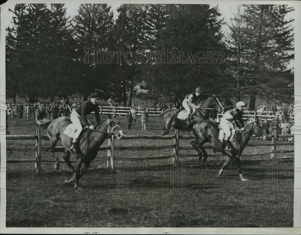 1932 Press Photo Vaudeville wins 35th Grand National point to point race - Historic Images