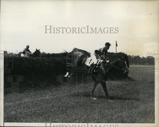 1936 Press Photo Jockey W. Collins on Sumatra wins Jolly Roger Steeplechase race - Historic Images