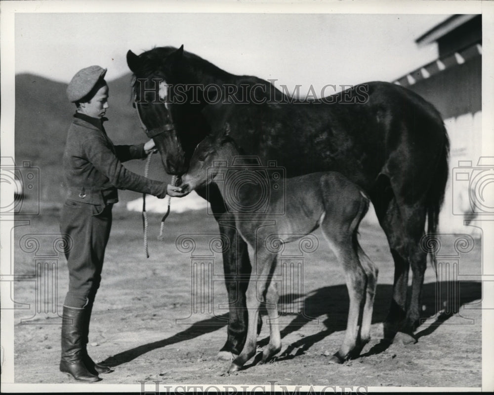 1937 Press Photo Brown Colt by Bon Hmme from mare Peggy Martin - net29801 - Historic Images