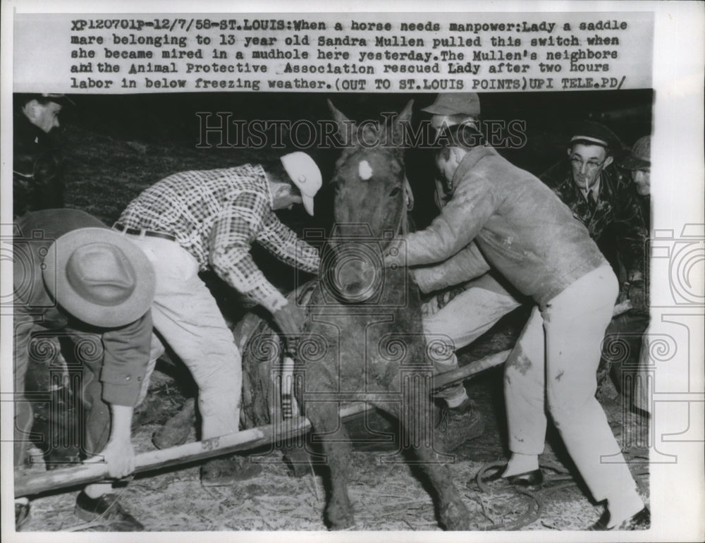 1958 Press Photo St Louis a horse rescued from a mud hole by volunteers - Historic Images