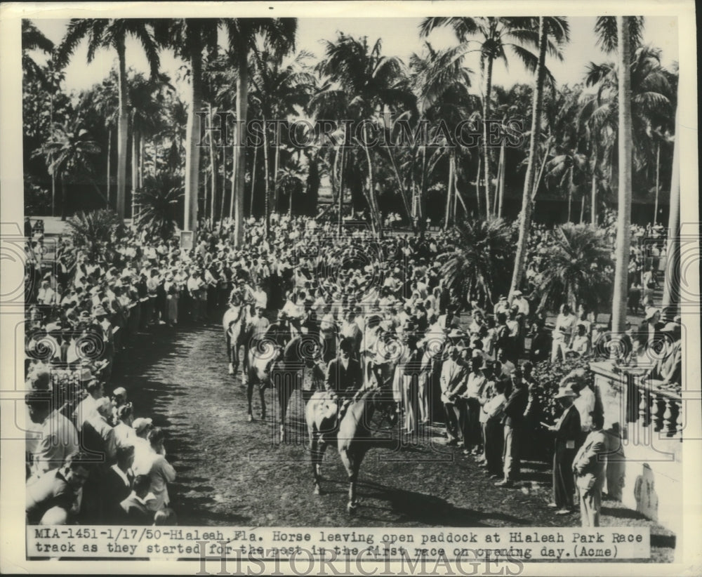 1950 Press Photo Horse leaving open paddock at Hialeah Park - Historic Images