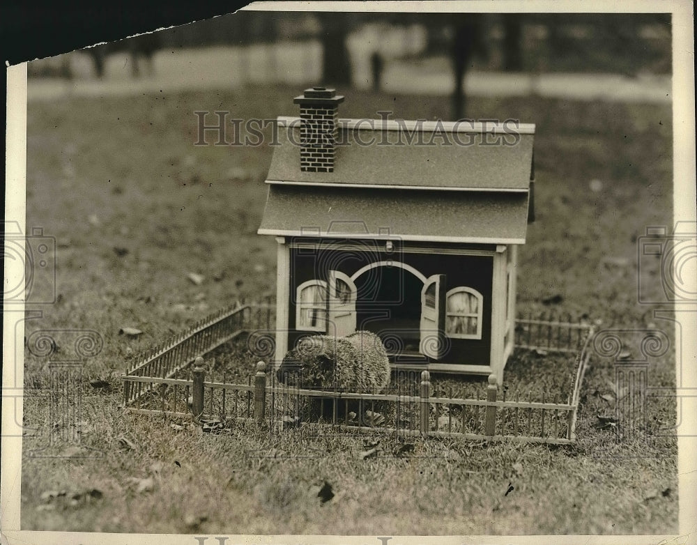 1928 Press Photo Mr. Ground-hog, shadow or no shadow - nex00635-Historic Images