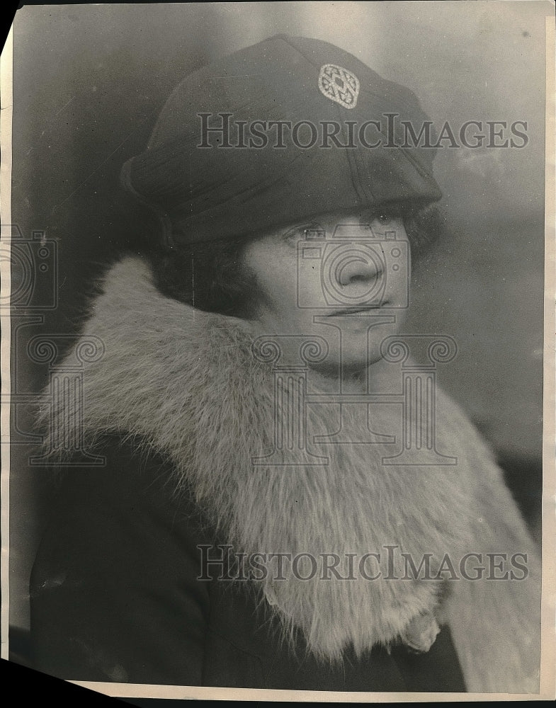 1923 Press Photo Mrs. W. E. D. Stokes - Historic Images