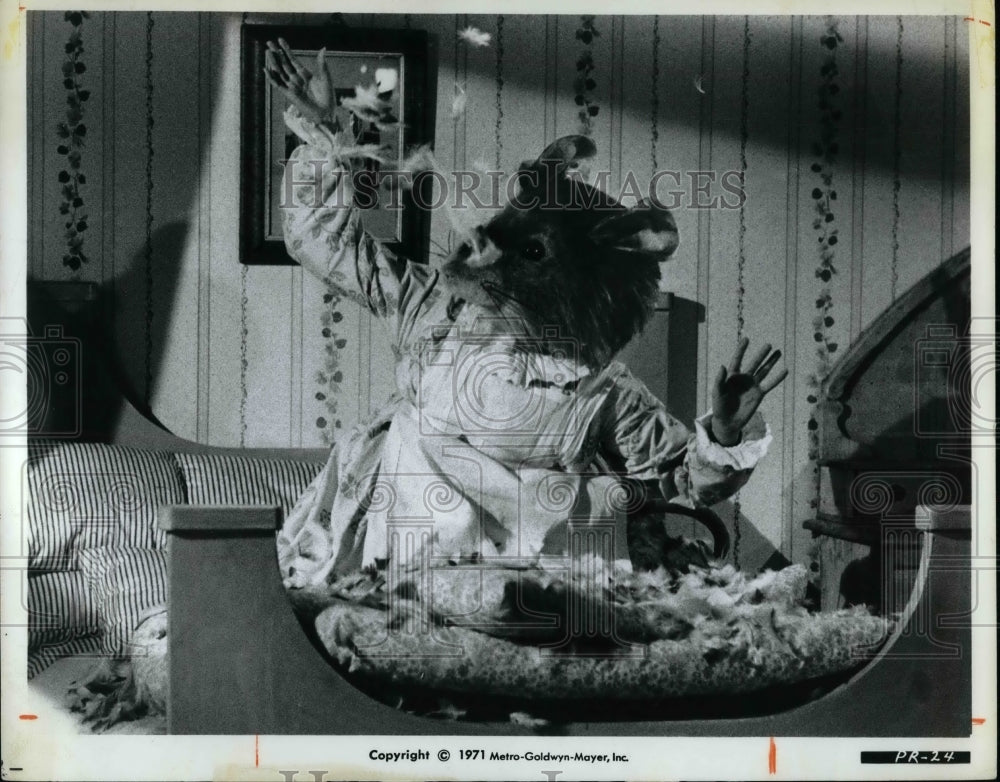 1971 Press Photo Scene from MGM&#39;s film Peter Rabbit and Tales of Beatrix Potter - Historic Images