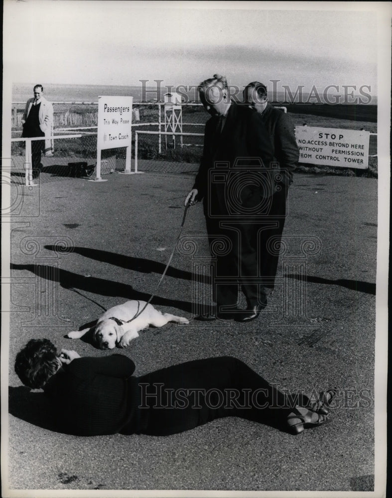 1967 Press Photo Labrador Puppy of Prime Minister Harold Wilson, Isle of Sicily - Historic Images