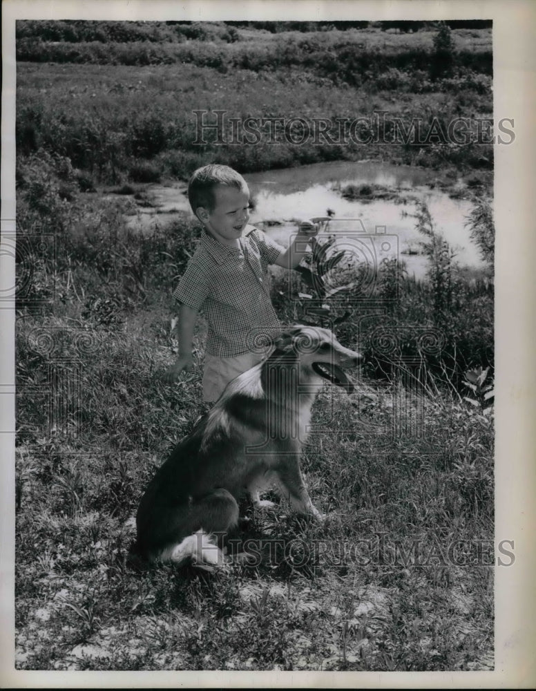 1959 Press Photo Boy w/ Collie-German Shepherd That Saved His Life Mehlville MO - Historic Images