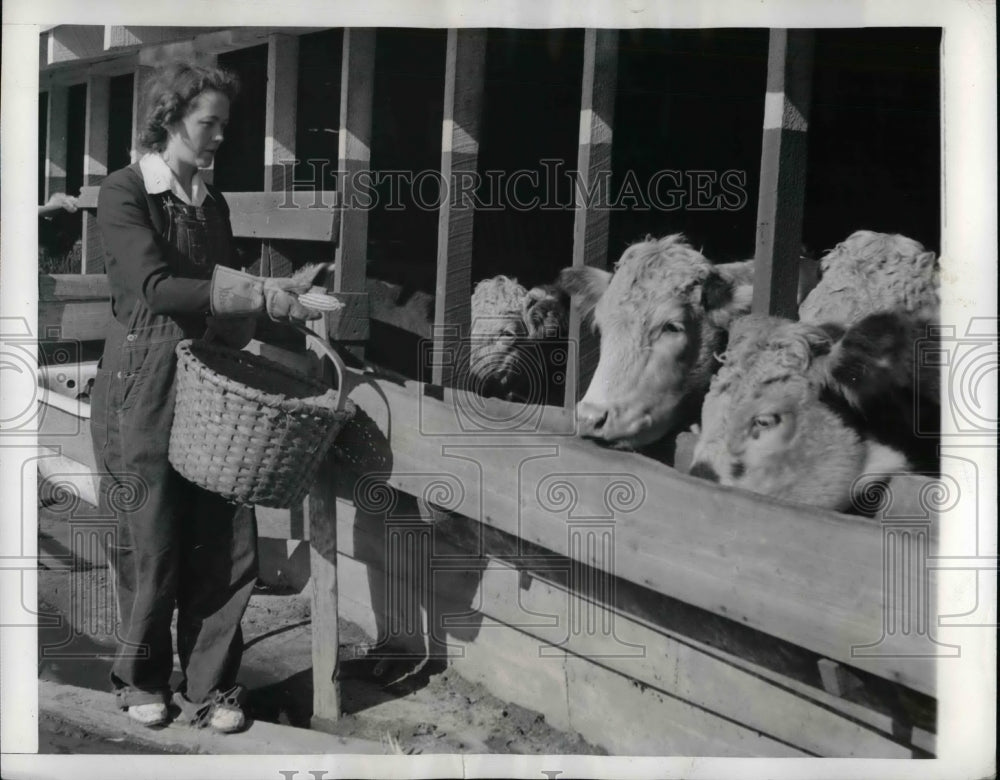 1941 Press Photo Mrs. Woodrow White Feeds Cattle in Gates County - Historic Images