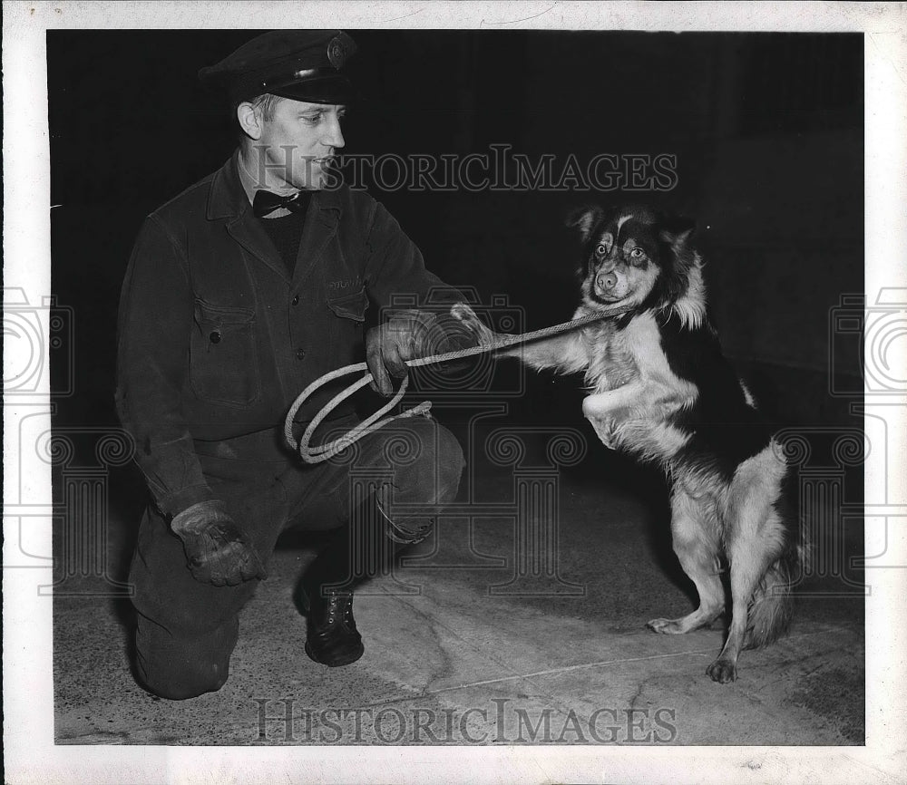 1944 Press Photo Dog Rescues by American Society for Prevention of Cruelty Anima - Historic Images