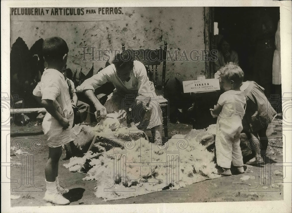 1930 Press Photo Dog Barber Shop La Casa del Perro - nex04572 - Historic Images