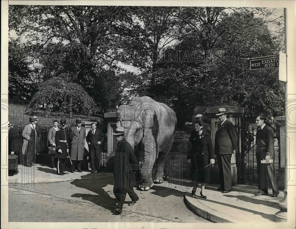 1932 Press Photo President Hoover, Young Republicans, Elephant at White House-Historic Images