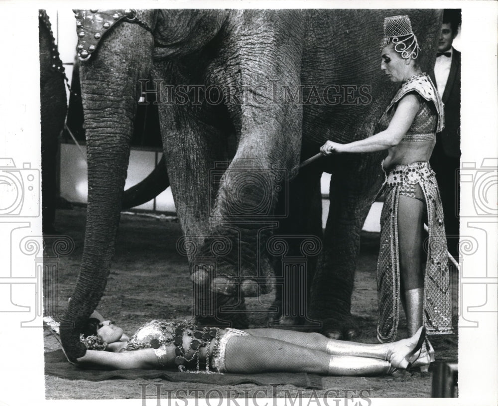 1970 Press Photo A tough circus girl laying on the ground as the elephant walk - Historic Images