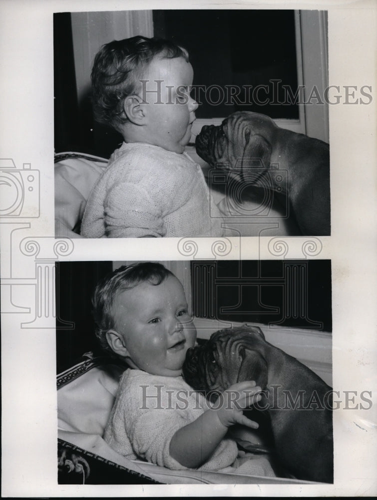 1962 Press Photo baby Susan Preed and Boxer Puppy – Historic Images