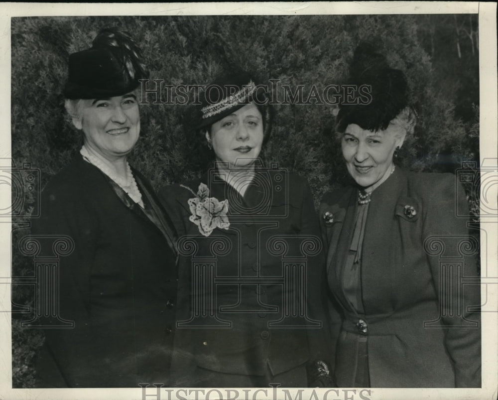 1946 Press Photo Prominent women in the victory for the Democratic Party in 1948-Historic Images