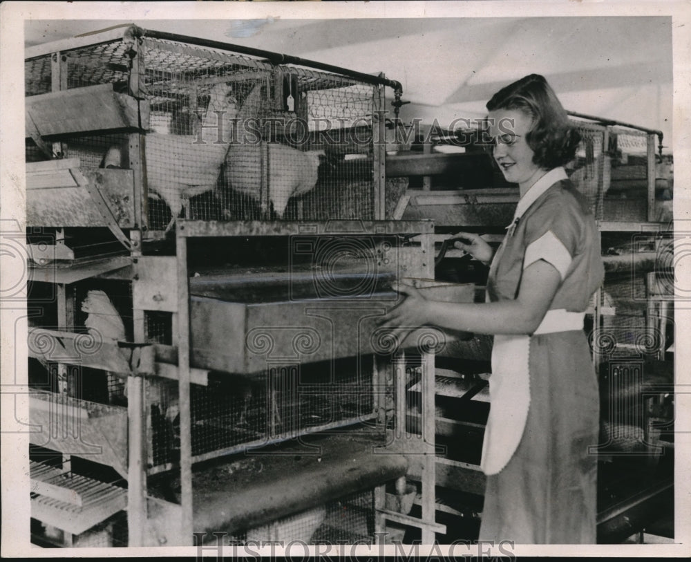1936 Press Photo Lillian Swenson working at a chicken farm urban New York-Historic Images