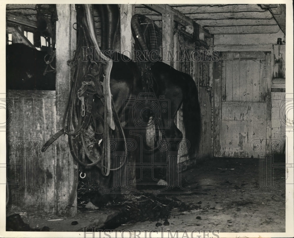 1938 Press Photo Nelson R Peet Owner Of Stable Installs Modern Wiring &amp; Equipmen - Historic Images