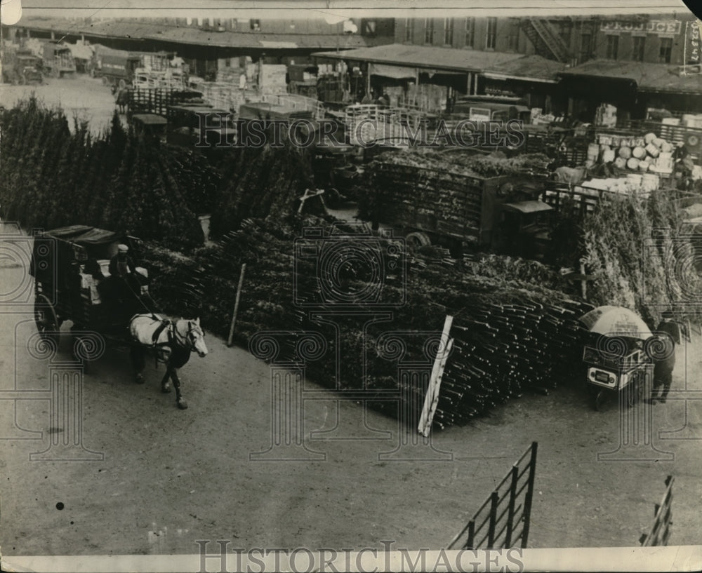 1928 Press Photo large-scale Christmas Tree distribution site - Historic Images