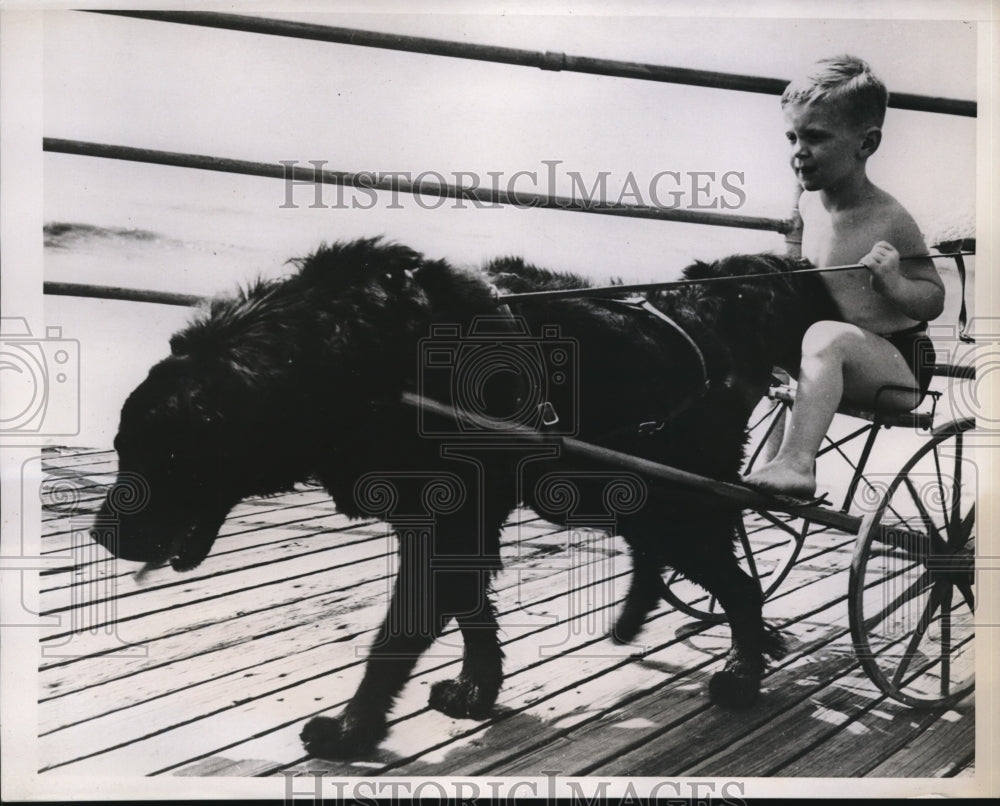 1938 Press Photo Kid Uses Dog To Mush Along NJ Boardwalk - Historic Images