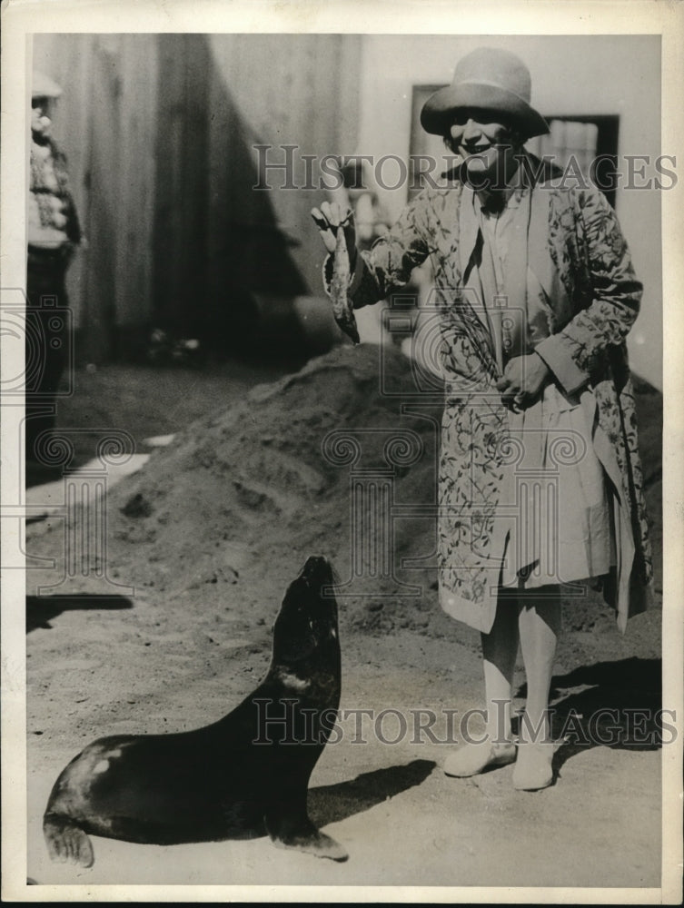 1929 Press Photo Mrs Gouverneur Morris and Pet Seal Given to San Francisco Seals - Historic Images