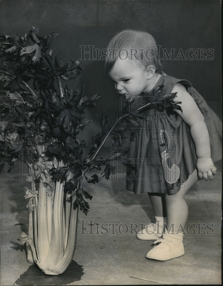 1965 Press Photo 4 Year Old Laura Lynn Smith Looks at Celery Stalk, Florida-Historic Images