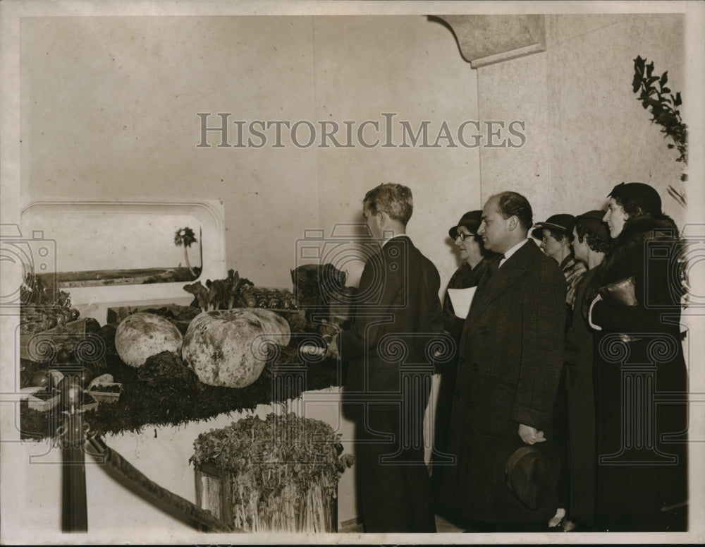 Press Photo People looking at Chinese watermelons at a exhibition - Historic Images