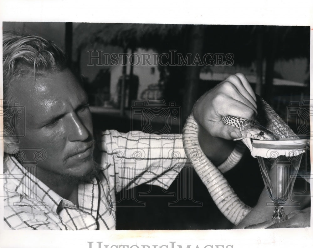 1970 Press Photo Romulus Whitaker milking a cobra in Tambaram, Madras - Historic Images