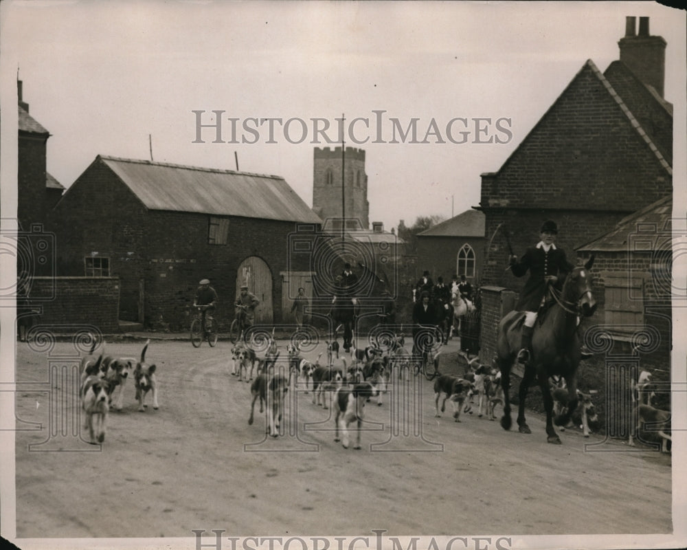 1932 Press Photo Dozens of Hunting Dogs/Hounds at Pytchley Hunt Event - Historic Images