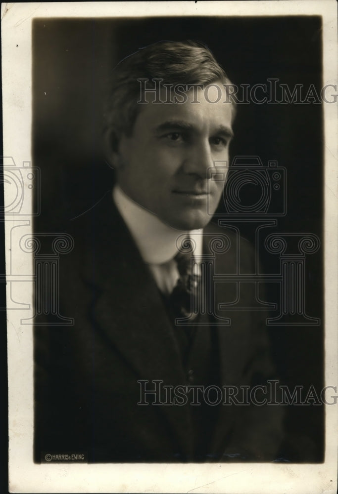 1919 Press Photo Homer L Ferguson President Of US Chamber Of Commerce - Historic Images