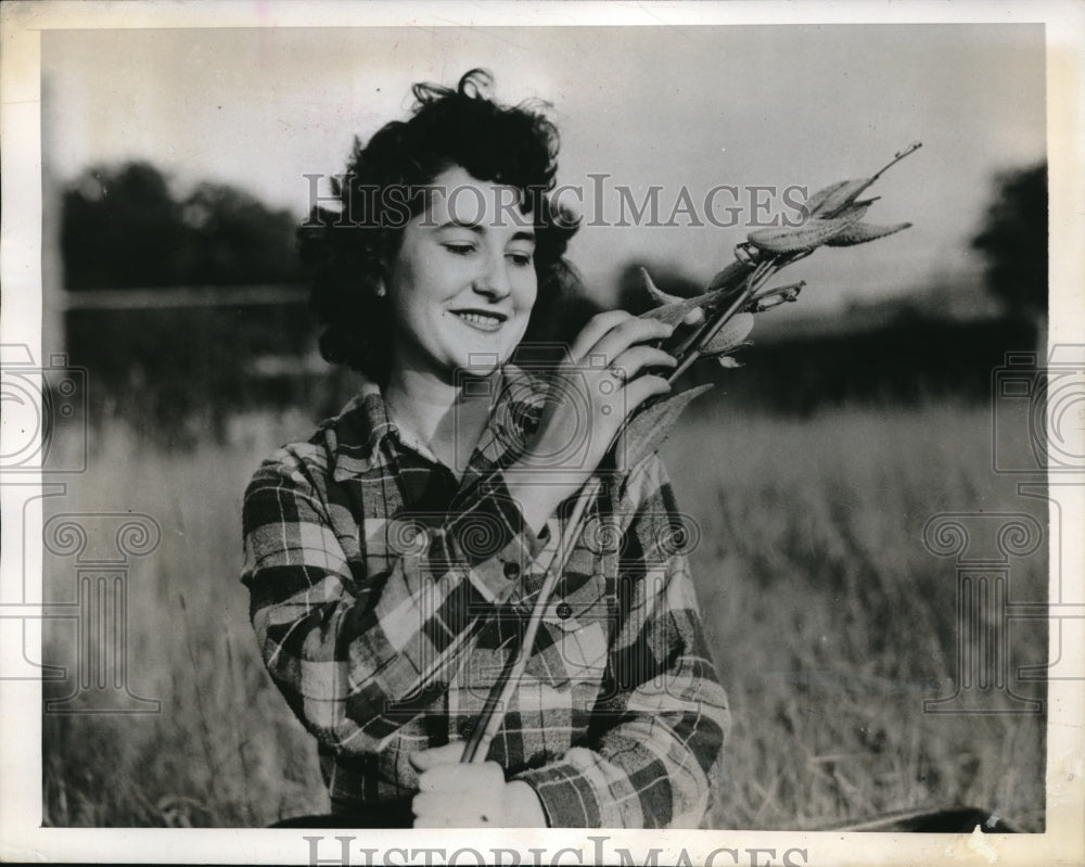 1943 Press Photo Pauline Behan  Michigan picker of Milk pod harvest - Historic Images