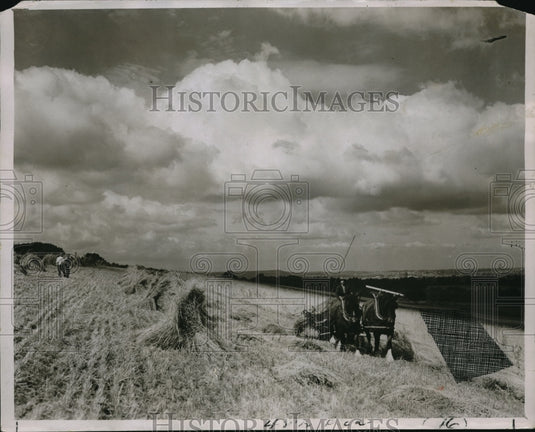 1931 Press Photo Troubles Harvesting Crops on the Hog's Back - Historic Images