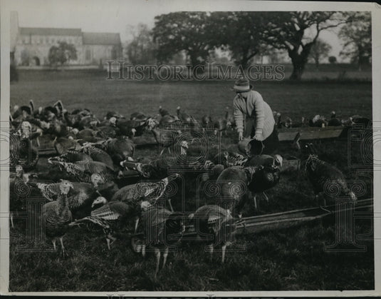 1922 Press Photo Visions of Christmas Dinner Table are conjured in this photo - Historic Images