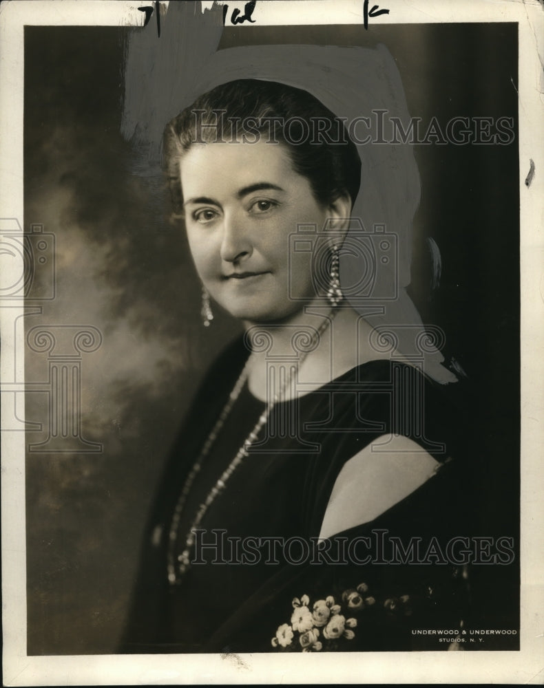 1926 Press Photo Mrs. George B. Ford, Executive Committee of the National Board - Historic Images