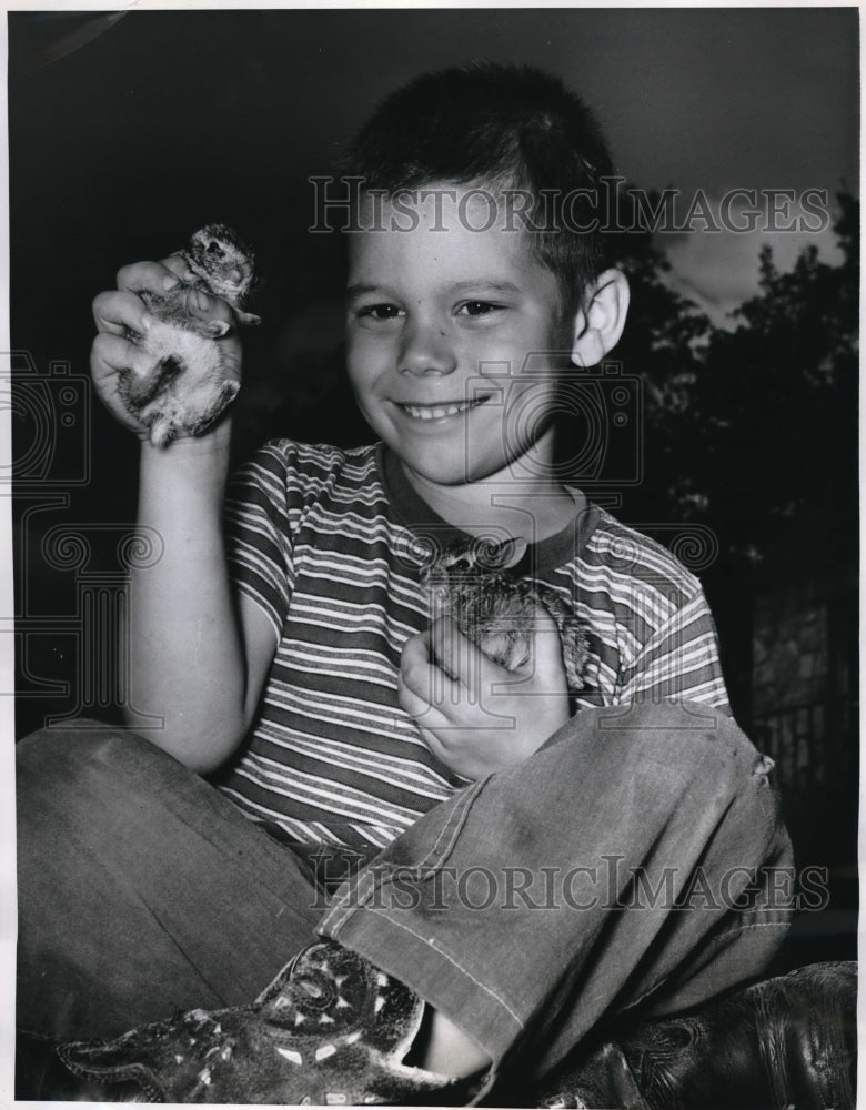 1961 Press Photo Austin Texass JW Elroy &amp; some baby bunnies - Historic Images