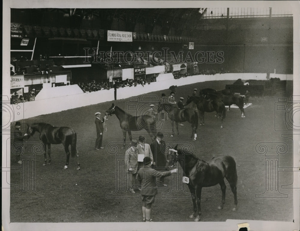 1930 Press Photo Hunters&#39; Improvement &amp; National Light Horse Breeding Society-Historic Images