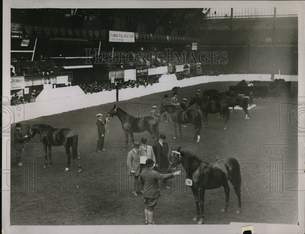 1930 Press Photo Hunters' Improvement & National Light Horse Breeding Society-Historic Images
