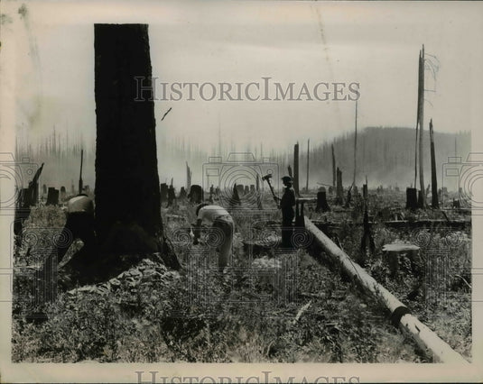 1935 Press Photo Civilian Conservation Corps Clearing Site Glacier National Park - Historic Images