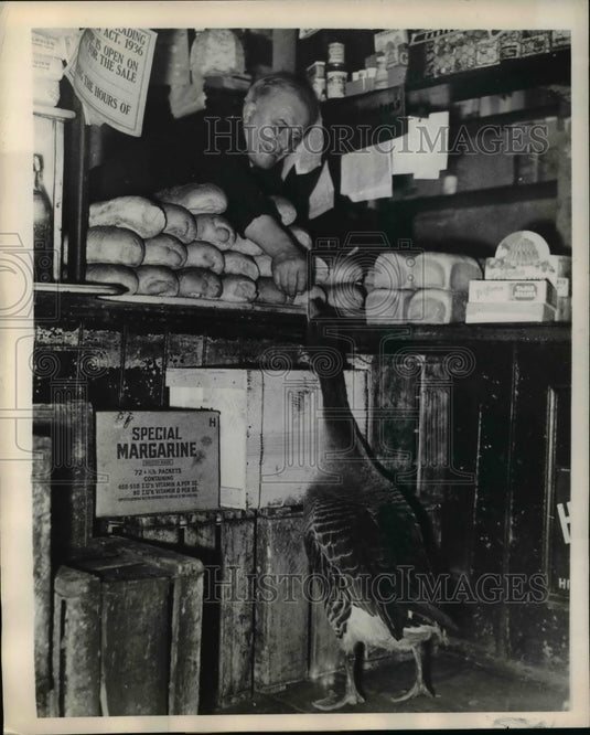 1948 Press Photo London grocery store A Walker & a goose at shop - Historic Images