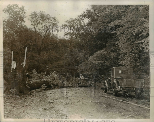 1938 Press Photo Workmen Clearing Uprooted Trees Bronx Park, New York City - Historic Images