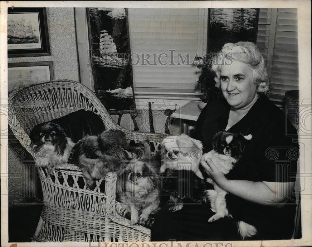 1944 Press Photo Mrs Marguerite Shaw of Long Beach Calif &amp; her Peke dogs-Historic Images